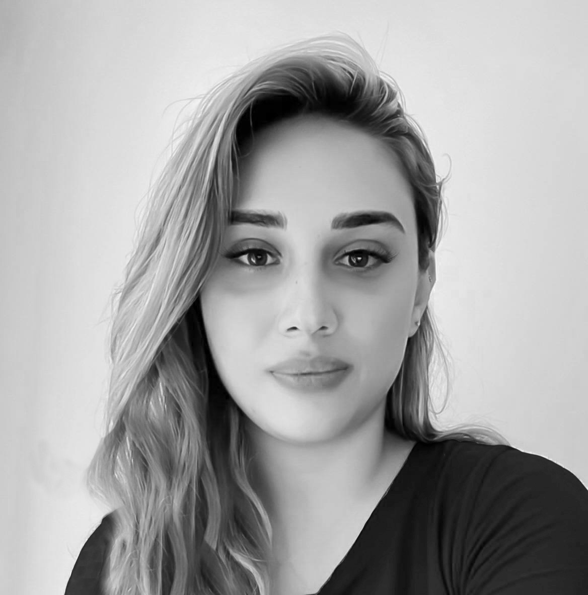 nasrin-bridges